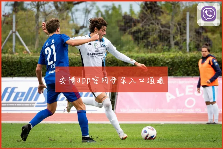 安博app官网登录入口通道