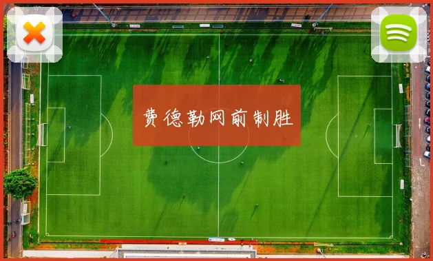 费德勒网前制胜