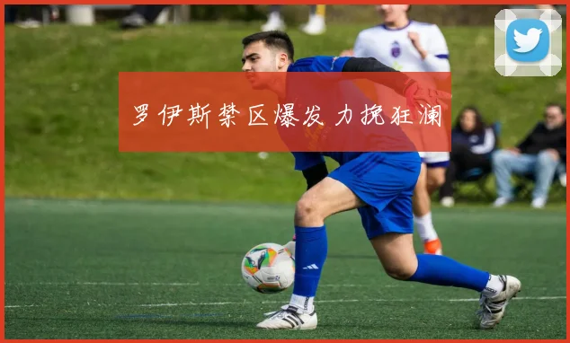 罗伊斯禁区爆发力挽狂澜