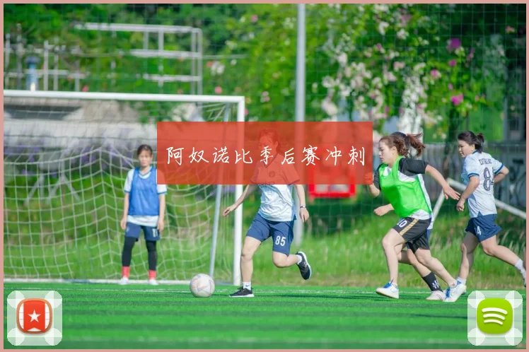 阿奴诺比季后赛冲刺