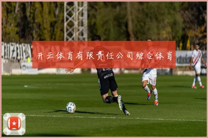 开云体育有限责任公司综合体育