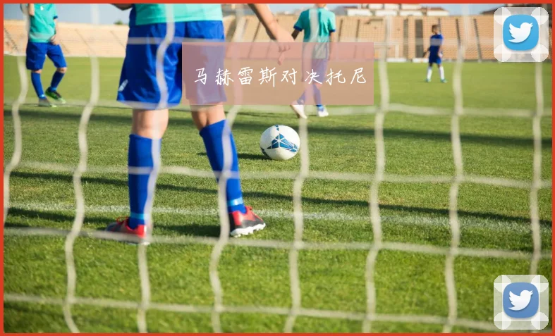马赫雷斯对决托尼
