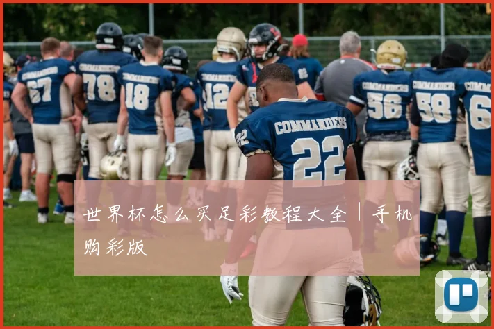 世界杯怎么买足彩教程大全｜手机购彩版