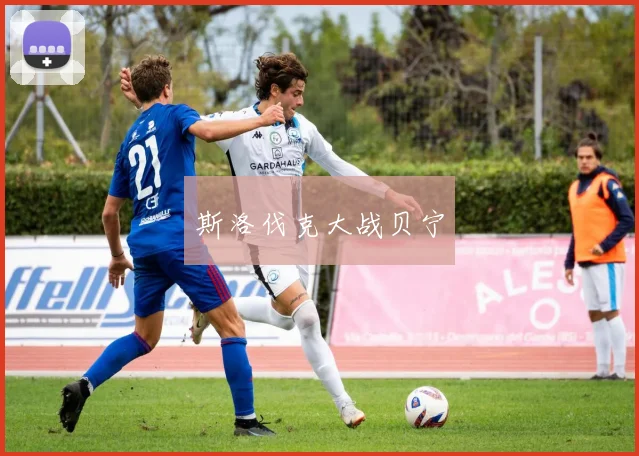 斯洛伐克大战贝宁