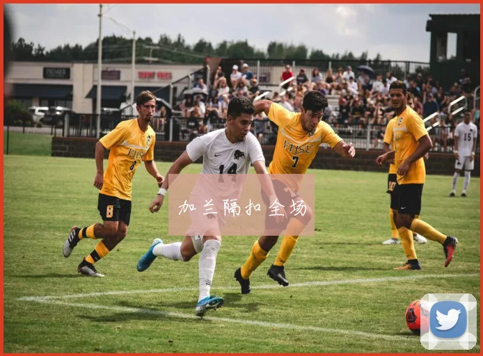 加兰隔扣全场