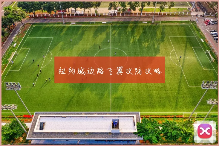 纽约城边路飞翼攻防攻略