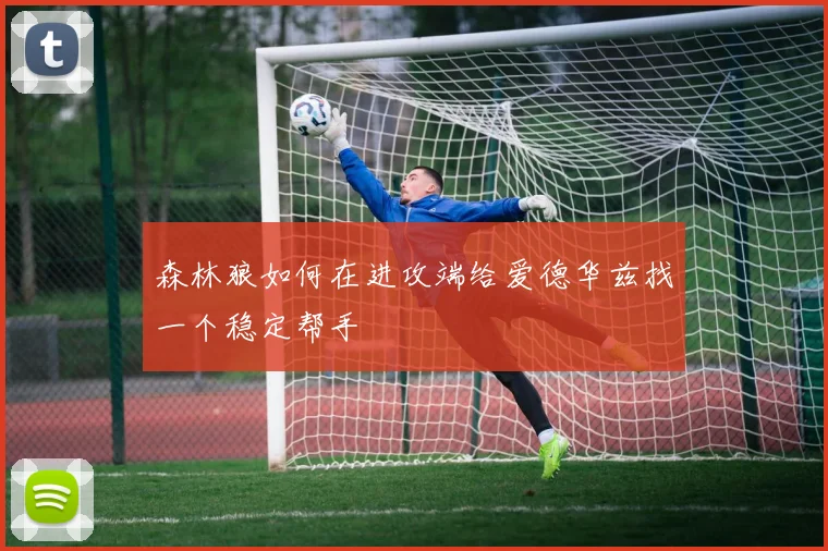 森林狼如何在进攻端给爱德华兹找一个稳定帮手