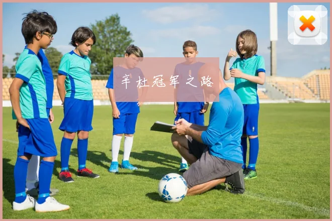 辛杜冠军之路