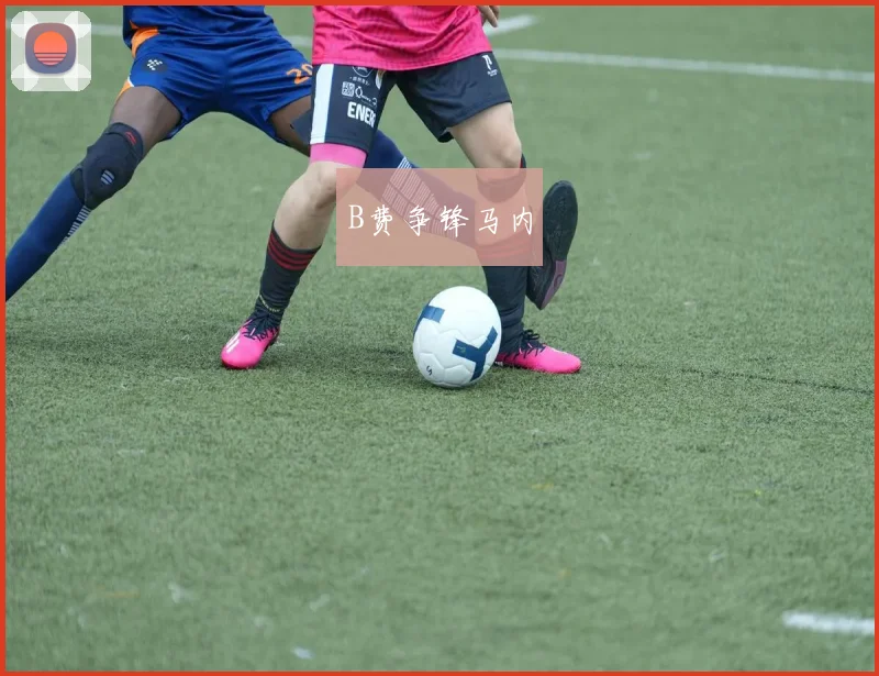 B费争锋马内