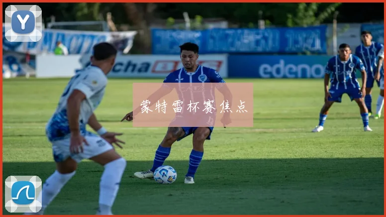 蒙特雷杯赛焦点