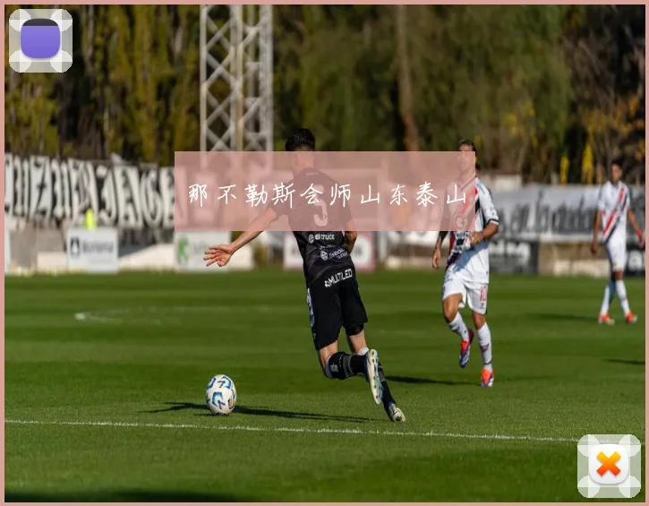 那不勒斯会师山东泰山