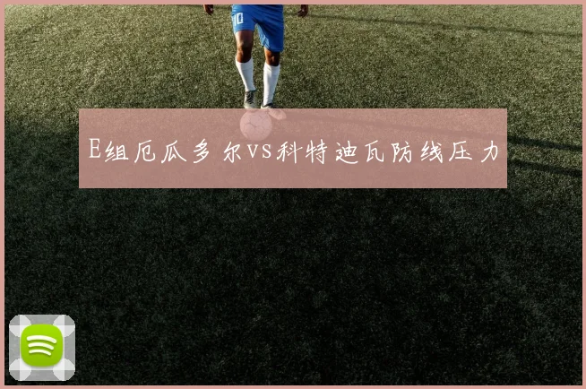 E组厄瓜多尔vs科特迪瓦防线压力