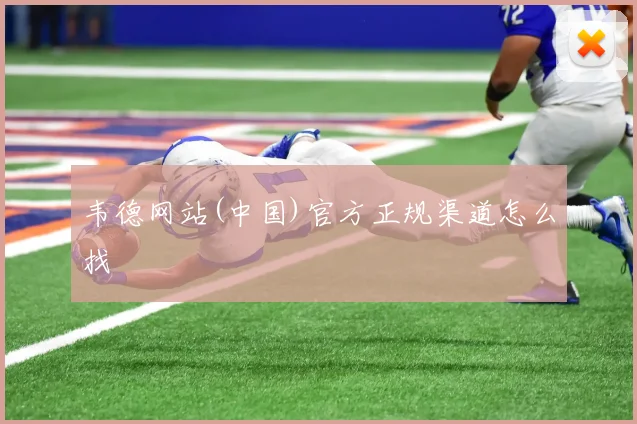 韦德网站(中国)官方正规渠道怎么找